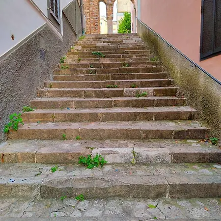 Narì *